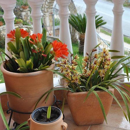 パルガAmaryllis Houseアパートメント エクステリア 写真