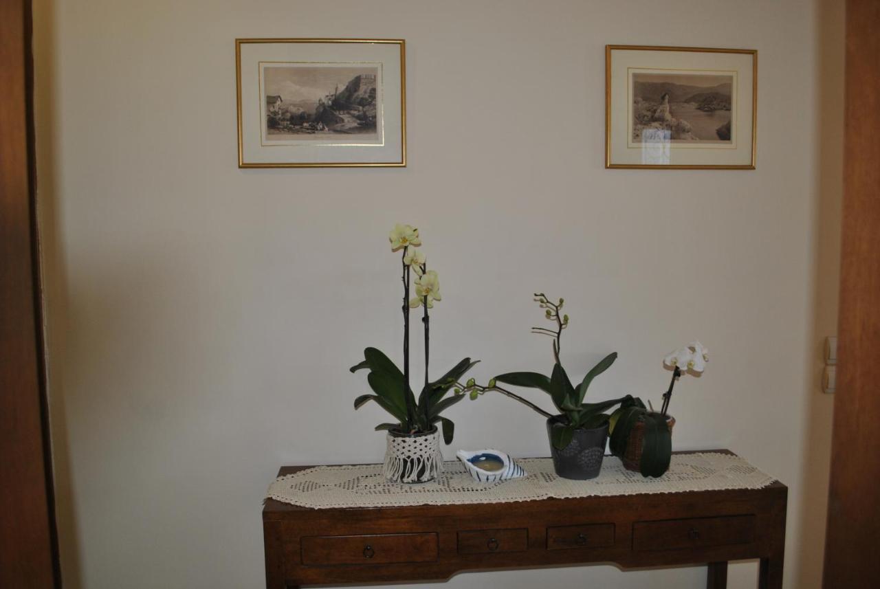 パルガAmaryllis Houseアパートメント エクステリア 写真